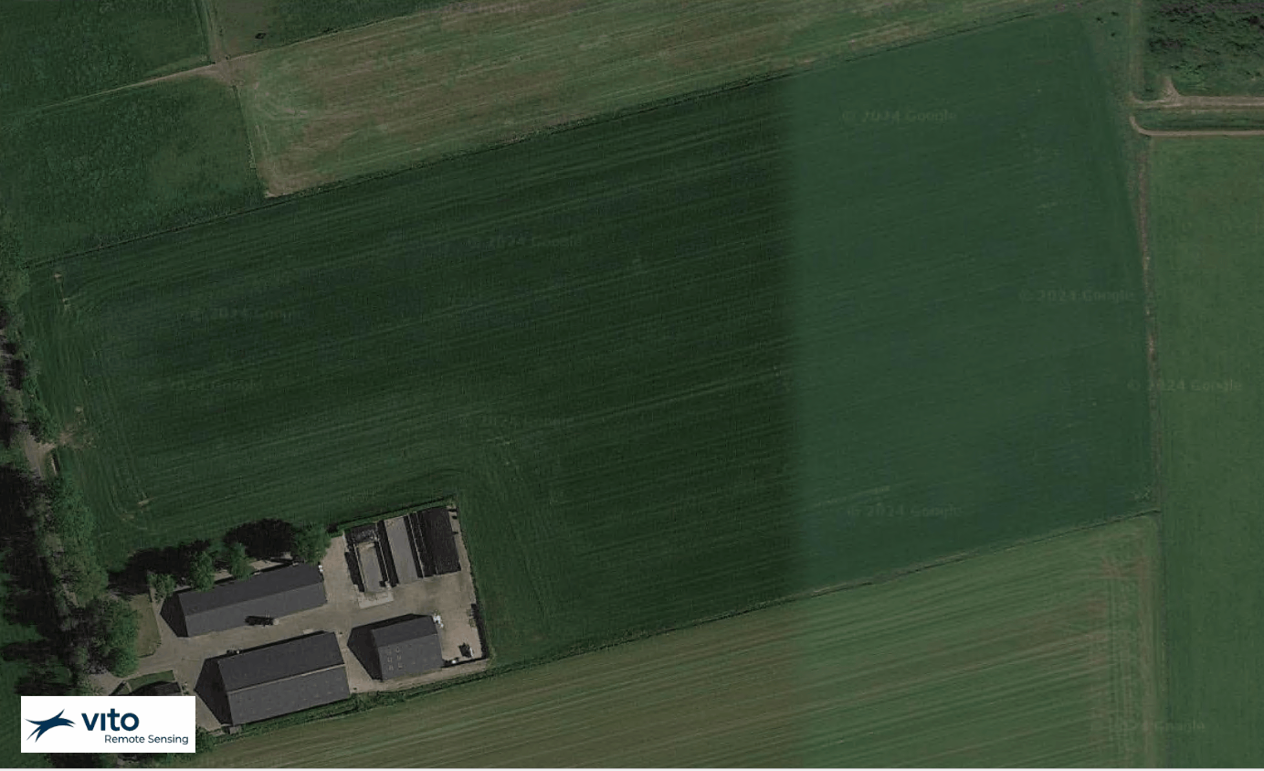 MAPEO Drone Sampling Image Processing