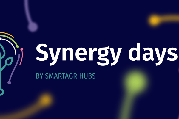 Synergy Days 2025 Website Overview Banner
