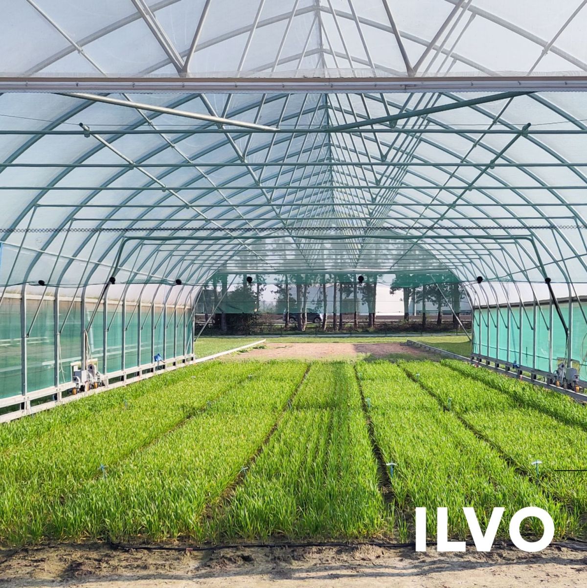 EMPHASIS-Belgium infrastructure call for projects ILVO