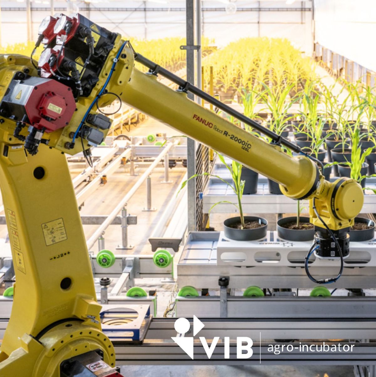 VIB-UGent Center for Plant Systems Biology VIB Agro-Incubator