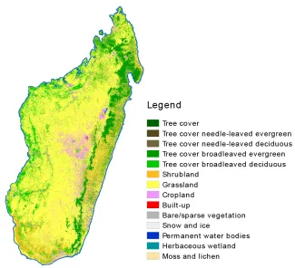 106_WorldCover_PrototypeMapMadagascar