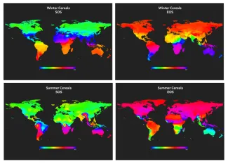 113_EWoC_Benchmarking_SOS-EOS