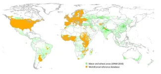 133_WorldCereal-reference-legend