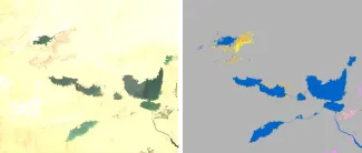 153_WorldCover2023_composite-map-2020-Egypt