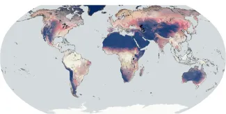 153_WorldCover2023_globalmosaicNDVI