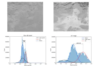 164_OilSpillDetection_Intrinsic_discriminative_power