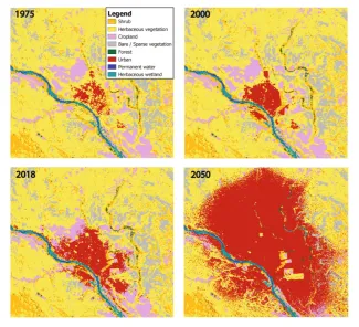 177_Ruimtemodel_Niamey-hisotrical-evolution