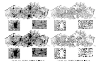 177_Ruimtemodel_Vlaanderen