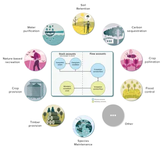 Connections between ecosystem accounts _ ecosystem services_V2