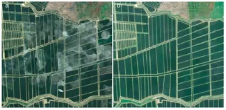 Example of L2A median RGB features over Colombia