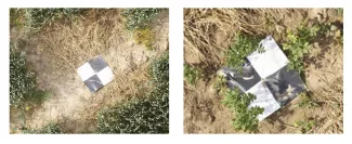 GCP_Vegetation-NoVegetation