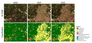 Prototype annual land cover maps between 2020 and 2021 near Coimbra