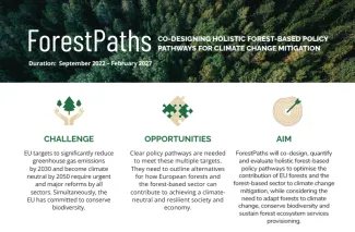 NEWS_ForestPaths_challenge