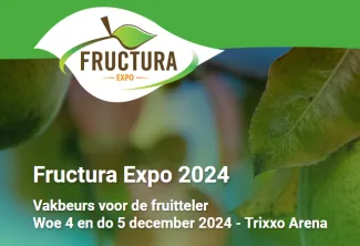 NEWS_Fructura2024