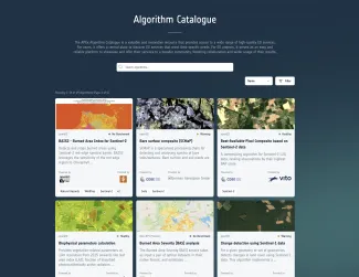 News APEx Algorithm Catalogue