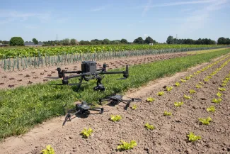 drones on strip cropping field