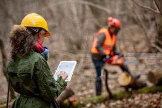 Natural Capital Accounting: picture of foreman using digital tablet when working and supervising in forest