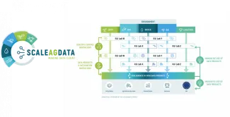 NEWS_ScaleAgData_KO2022