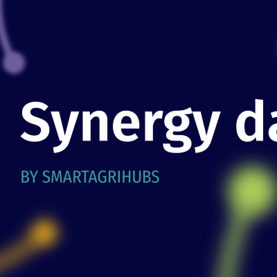 Synergy Days 2025 Website Overview Banner