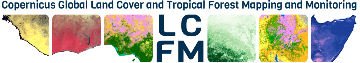 NEWS_LCFM_logo